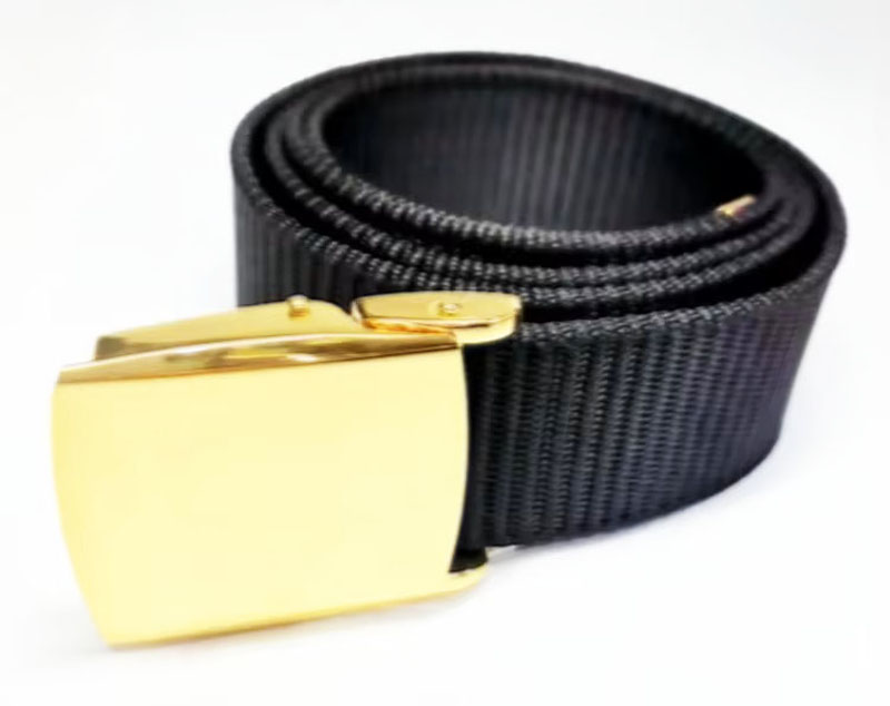 B28 Golden Alloy Buckle Nylon Canvas Web Belt - Image 2