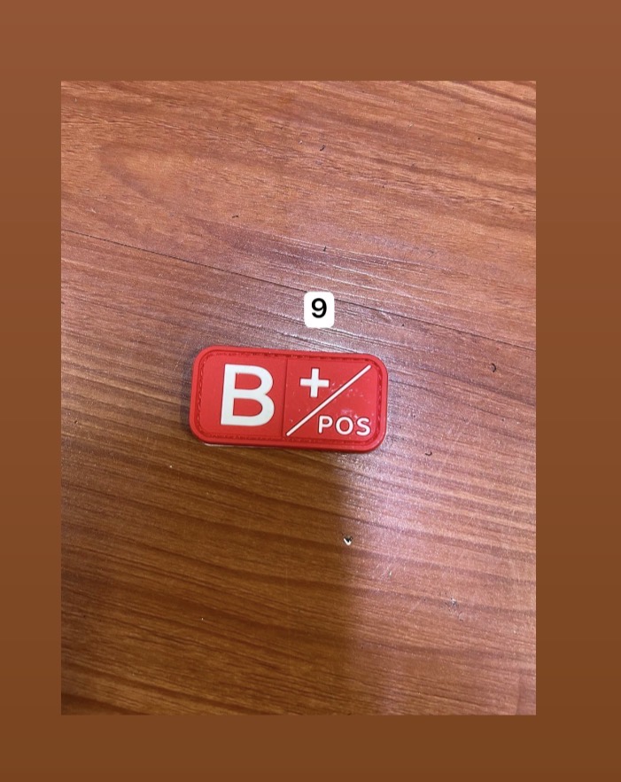 S31