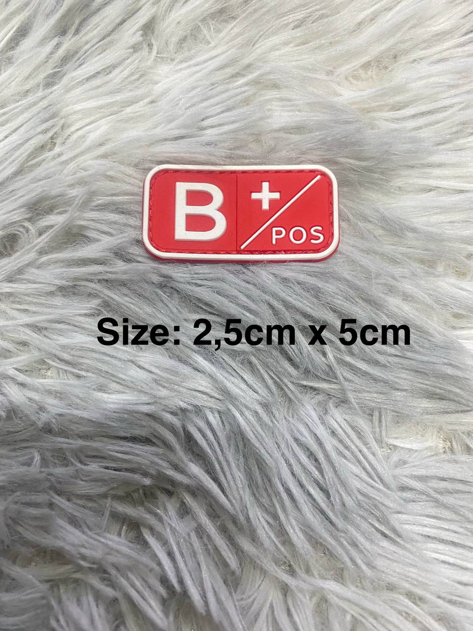 S31